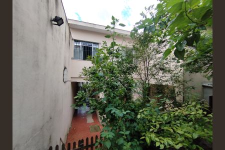 Quintal  de casa à venda com 3 quartos, 246m² em Vila Natalia, São Paulo