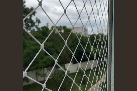 Apartamento para alugar com 2 quartos, 54m² em Vila Moreira, São Paulo