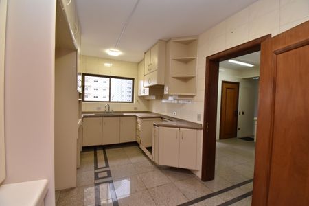 Apartamento para alugar com 355m², 4 quartos e 4 vagasCozinha