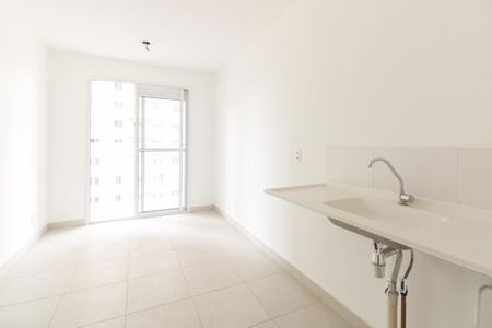 Apartamento para alugar com 38m², 1 quarto e sem vagaCozinha 