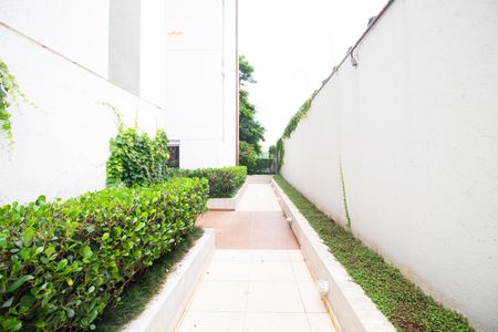 Apartamento para alugar com 71m², 1 quarto e 2 vagas Apartamento para alugar com 71m², 1 quarto e 2 vagasÁrea comum