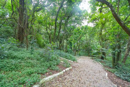 Apartamento para alugar com 86m², 3 quartos e 1 vaga Apartamento para alugar com 86m², 3 quartos e 1 vagaÁrea comum