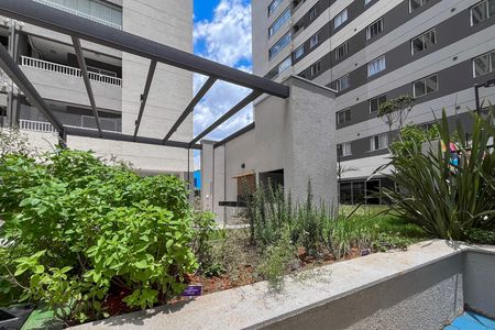 Apartamento para alugar com 60m², 3 quartos e 1 vaga Apartamento para alugar com 60m², 3 quartos e 1 vagaMini Horta