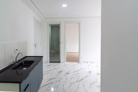Apartamento para alugar com 35m², 2 quartos e sem vagaCozinha