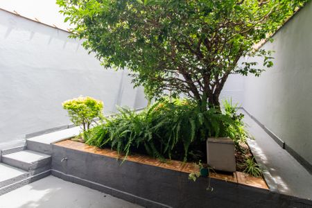 Casa para alugar com 200m², 3 quartos e 2 vagasQuintal