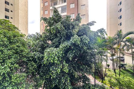 Apartamento para alugar com 60m², 3 quartos e 1 vagaVista do Quarto 2