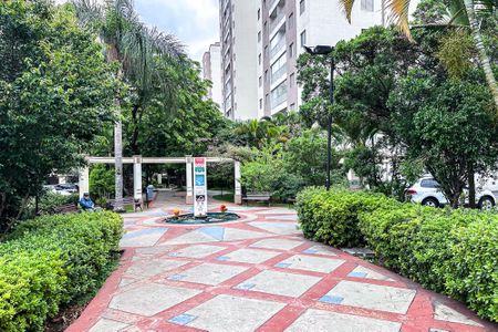 Apartamento para alugar com 60m², 3 quartos e 1 vagaJardim