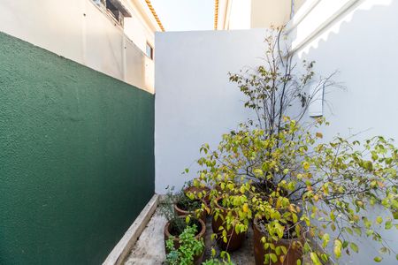 Casa de condomínio à venda com 180m², 3 quartos e 2 vagas Casa de condomínio à venda com 180m², 3 quartos e 2 vagasQuintal