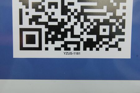 Casa para alugar com 206m², 3 quartos e 4 vagasPlaca instalada em 31/01/2026 com o código YZUS-1181