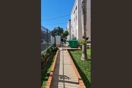 Apartamento para alugar com 1 quarto, 37m² em Jardim Dona Leopoldina, Porto Alegre