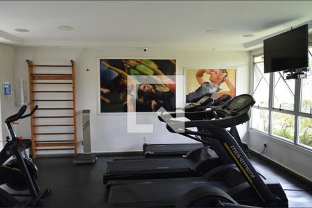 Apartamento para alugar com 77m², 3 quartos e 1 vagaAcademia