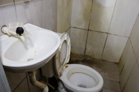 Banheiro de casa para alugar com 1 quarto, 30m² em Helena Maria, Osasco