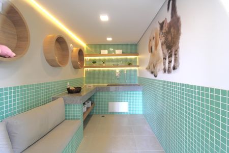 Apartamento para alugar com 38m², 2 quartos e sem vagaSala para banho de pets