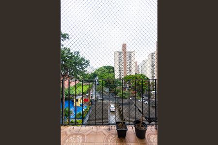 Apartamento para alugar com 2 quartos, 52m² em Jardim Umarizal, São Paulo