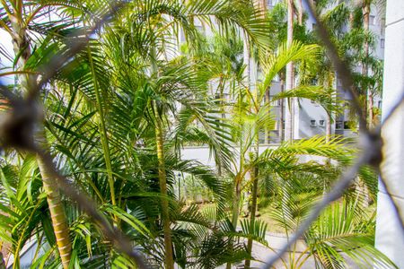 Apartamento para alugar com 89m², 3 quartos e 2 vagas Apartamento para alugar com 89m², 3 quartos e 2 vagasVista do quarto 1