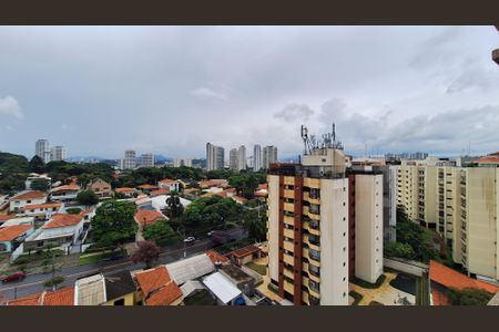 Apartamento à venda com 183m², 3 quartos e 3 vagasVista