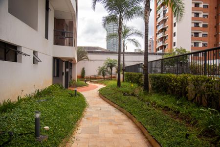 Apartamento para alugar com 38m², 1 quarto e 1 vagaÁrea comum - Piscina