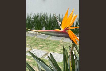 Casa de condomínio à venda com 320m², 4 quartos e 3 vagasÁrea externa