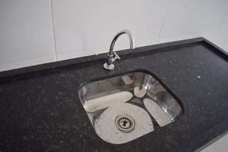 Apartamento para alugar com 52m², 2 quartos e 1 vagaCozinha - Torneira