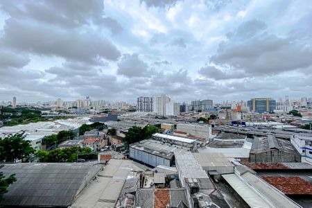 Apartamento à venda com 84m², 2 quartos e 1 vagaVista da Suíte 1