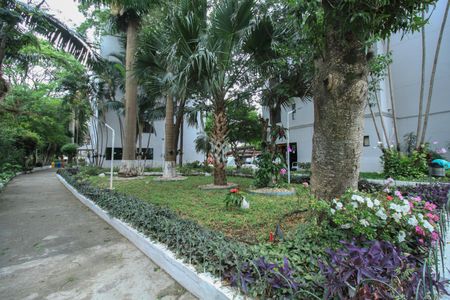 Apartamento à venda com 55m², 2 quartos e 1 vaga