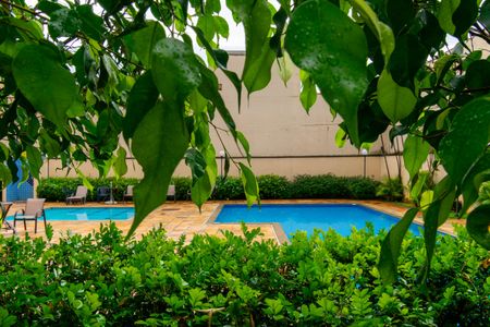 Apartamento à venda com 54m², 2 quartos e 1 vagaÁrea comum