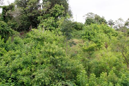 Apartamento para alugar com 59m², 2 quartos e 2 vagasQuarto 1 Vista