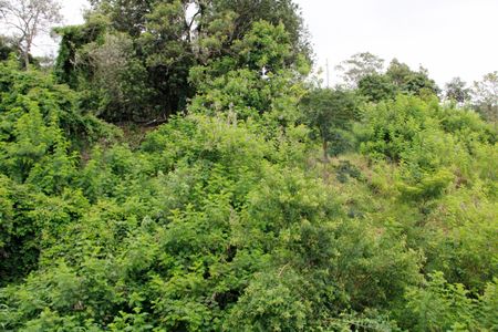 Apartamento para alugar com 59m², 2 quartos e 2 vagasSuíte 1 Vista