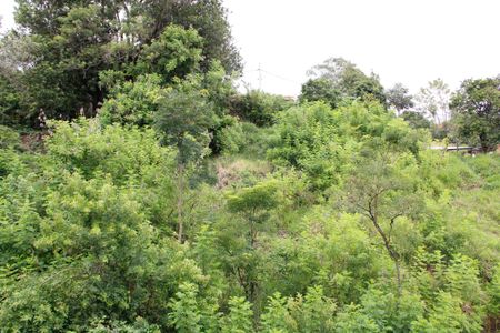 Apartamento para alugar com 59m², 2 quartos e 2 vagasSala Varanda