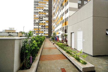 Apartamento para alugar com 35m², 2 quartos e 1 vaga Apartamento para alugar com 35m², 2 quartos e 1 vagaÁrea externa