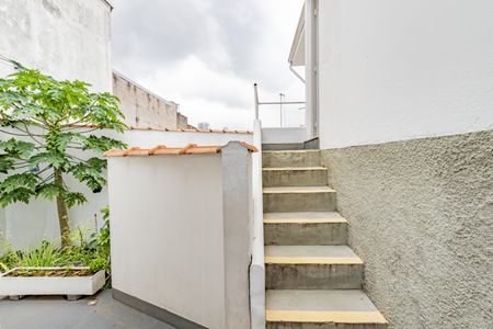 Casa para alugar com 35m², 1 quarto e sem vagaQuintal