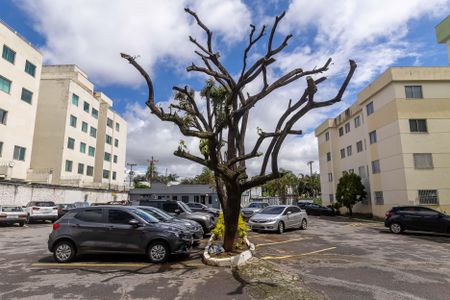 Apartamento para alugar com 75m², 3 quartos e 1 vagaGaragem