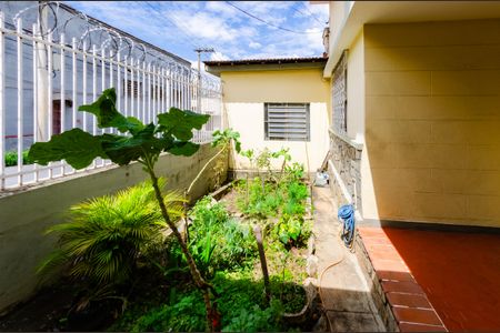 Casa à venda com 353m², 3 quartos e 2 vagas Casa à venda com 353m², 3 quartos e 2 vagasÁrea externa