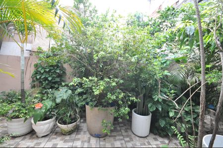 Casa para alugar com 70m², 2 quartos e 2 vagasQuintal