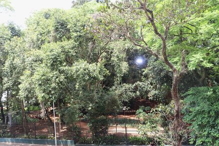 Apartamento à venda com 260m², 5 quartos e 1 vagaVista da Sala