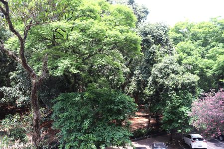 Apartamento à venda com 260m², 5 quartos e 1 vagaVista da Sala