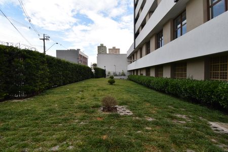 Apartamento para alugar com 39m², 1 quarto e sem vagaÁrea comum - Espaço Pet