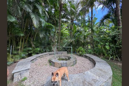 Casa de condomínio para alugar com 1500m², 6 quartos e 5 vagas Casa de condomínio para alugar com 1500m², 6 quartos e 5 vagasÁrea externa