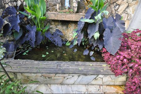 Casa para alugar com 600m², 4 quartos e 5 vagasTanque de peixes