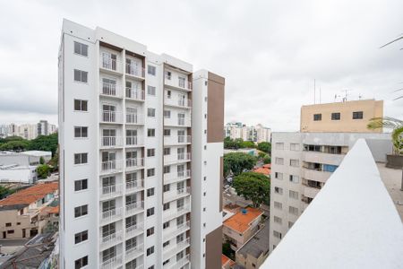 Apartamento para alugar com 30m², 1 quarto e sem vagaTerraço