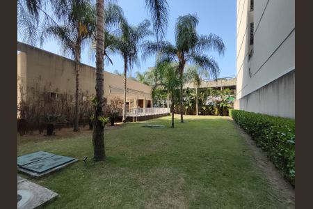 Apartamento para alugar com 70m², 2 quartos e 1 vaga Apartamento para alugar com 70m², 2 quartos e 1 vagaJardim