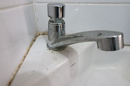 Apartamento à venda com 71m², 2 quartos e sem vagaBanheiro Auxiliar - Torneira