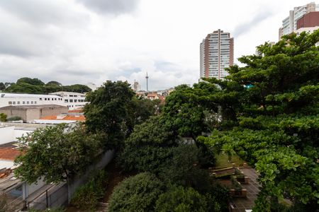 Apartamento para alugar com 30m², 1 quarto e sem vagaSala e Cozinha - Vista