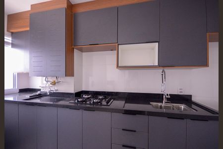 Apartamento para alugar com 35m², 2 quartos e sem vagaCozinha 
