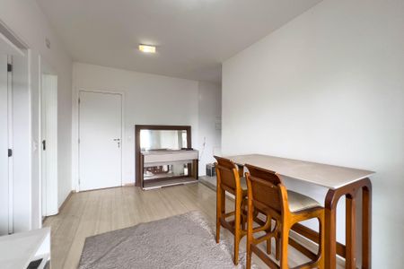 Sala de apartamento para alugar com 1 quarto, 45m² em Cambuci, São Paulo