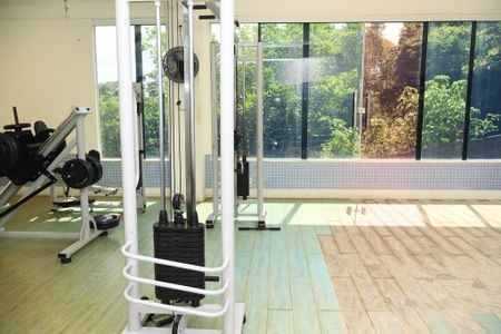 Apartamento para alugar com 207m², 4 quartos e 4 vagasAcademia