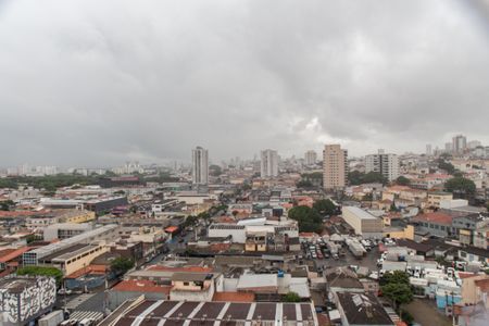 Suíte - Vista de apartamento à venda com 2 quartos, 55m² em Vila Maria, São Paulo