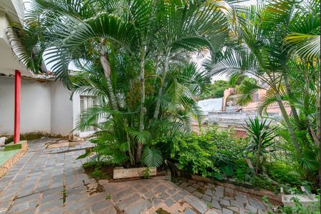 Casa à venda com 360m², 3 quartos e 2 vagasJardim