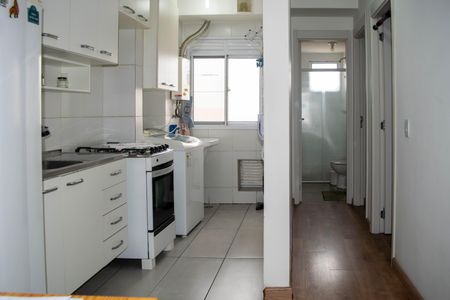 Cozinha de apartamento para alugar com 2 quartos, 45m² em Maranhão, São Paulo