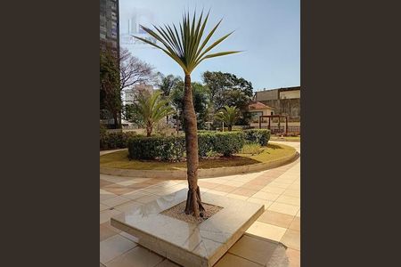 Apartamento à venda com 87m², 3 quartos e 2 vagas